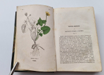 "Ботанические беседы". Б.Ауэрсвальд, Э.А.Россмесслер. 1860 г. - редкая книга
