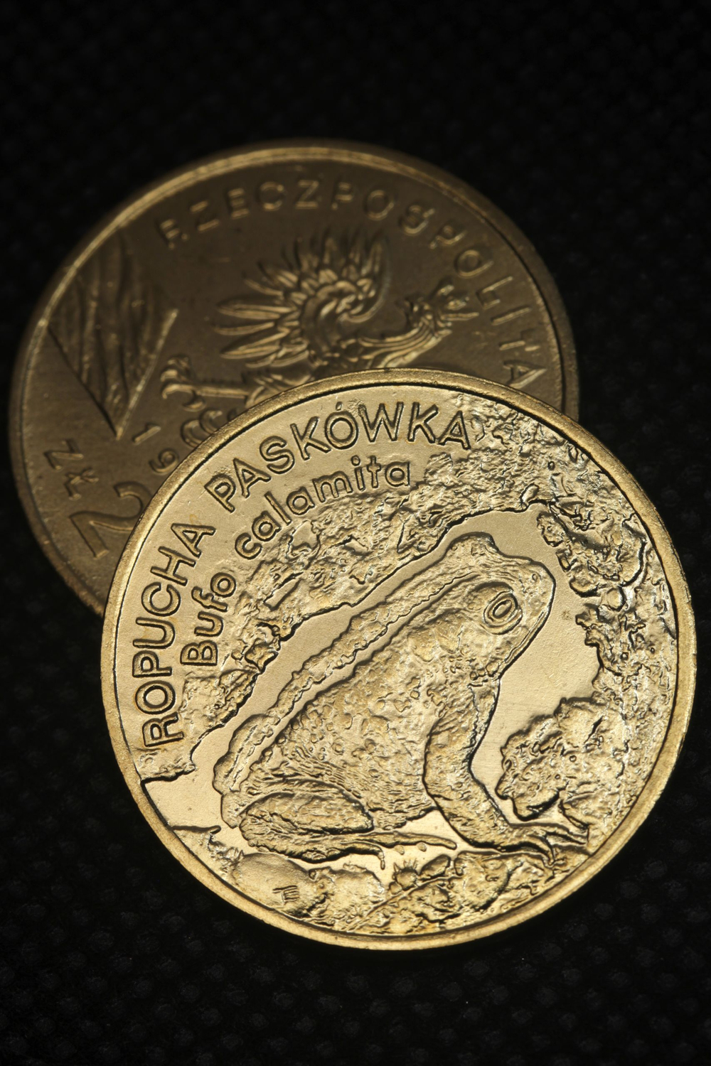 2 злотых 1998 года Польша Жаба Фауна Копия польской монеты