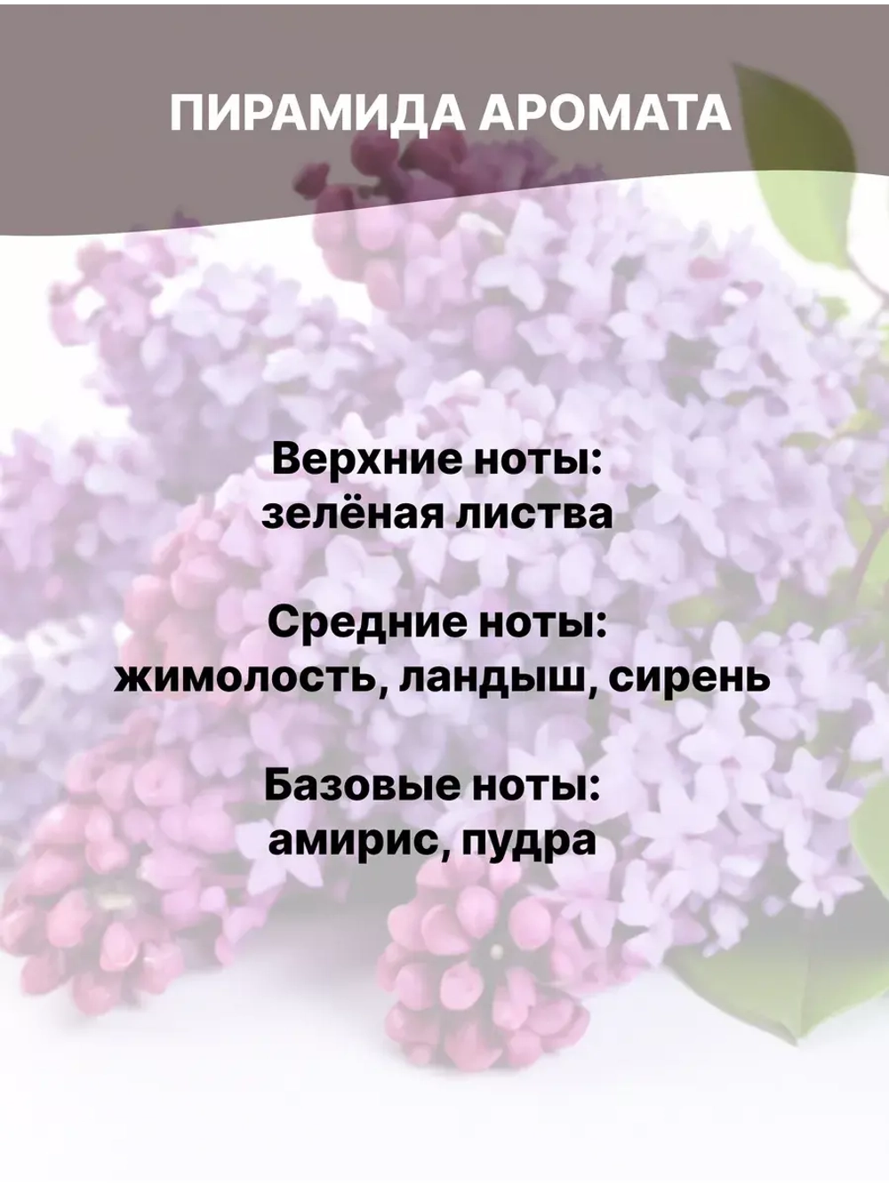 Отдушка Сирень 50 гр