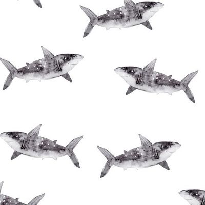Акулы
