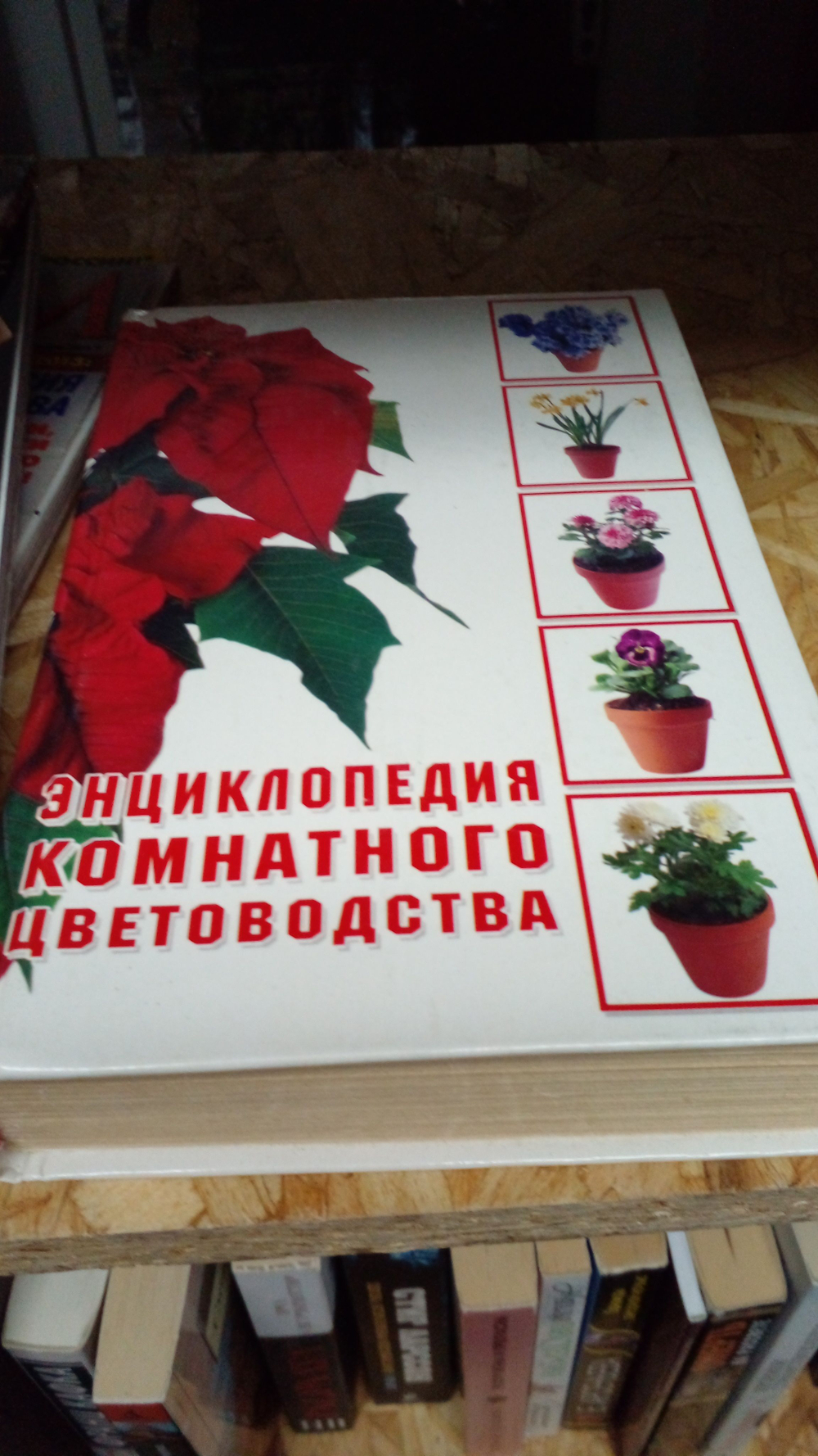 Энциклопедия комнатного цветоводства