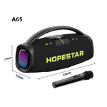 Портативная колонка HOPESTAR A65 300 Вт