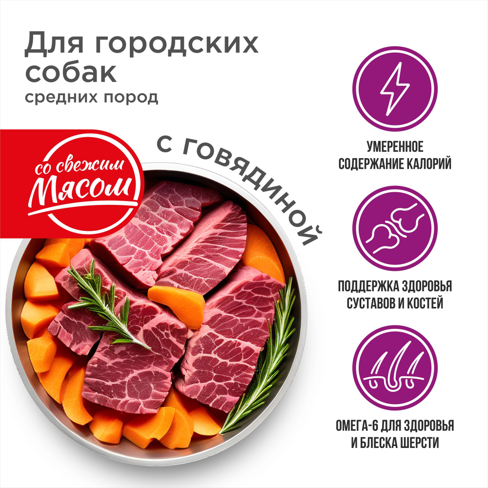 Корм сухой для взрослых собак средних пород, премиум полнорационный комплекс, для городских собак, с говядиной, 12 кг, QUATTRO
