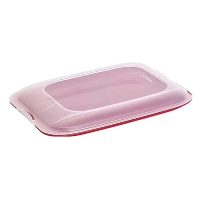 Контейнер пищевой Tanino 25*17*3,5, Кораловый, DRINA