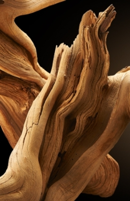 AGARWOOD EO 10% / АГАРОВОЕ ДЕРЕВО ( УД ) Э.М. CAS 94350-09-1