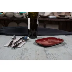 Блюдо овальное 20*13 см h1,9 см для закусок Evolution Dark Red P.L. Proff Cuisine [1]