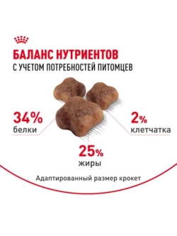 Mother&Babycat Корм для котят от 1 до 4 месяцев 400г