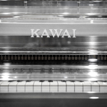 Kawai CR-40 Transparency