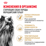 Royal Canin Yorkshire Terrier Adult 8+ Йоркширский Терьер Эдалт Корм сухой для стареющих собак породы Йоркширский Терьер 500г