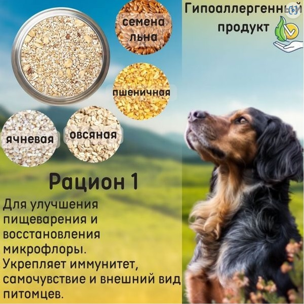 DogmaX Каша для собак "Рацион 1"