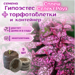Колеус многолетний семена, красный Визард Скарлет + торфяные таблетки Jiffy в подарок, 5 шт