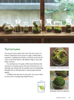 Moss Ball Bonsai: 100 Simple Kokedama Gardens That Are Easy and Fun to Make