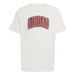 Футболка мужская ADIDAS M STAD COLLEG T OWHITE