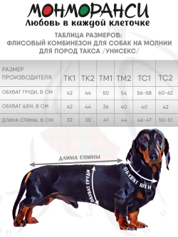 Флисовый комбинезон для таксы весенний