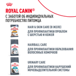 Royal Canin Hair&Skin Care Хэйр Энд Скин Корм влажный для взрослых кошек поддержание здоровья кожи и шерсти соус 85г