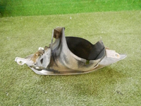 DSCN3262.jpg