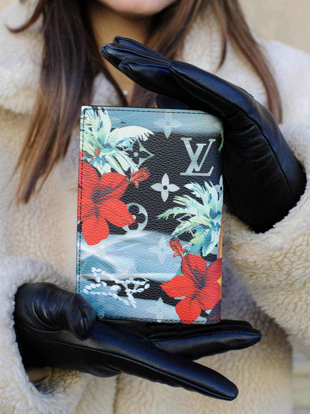 Louis Vuitton Обложка для паспорта