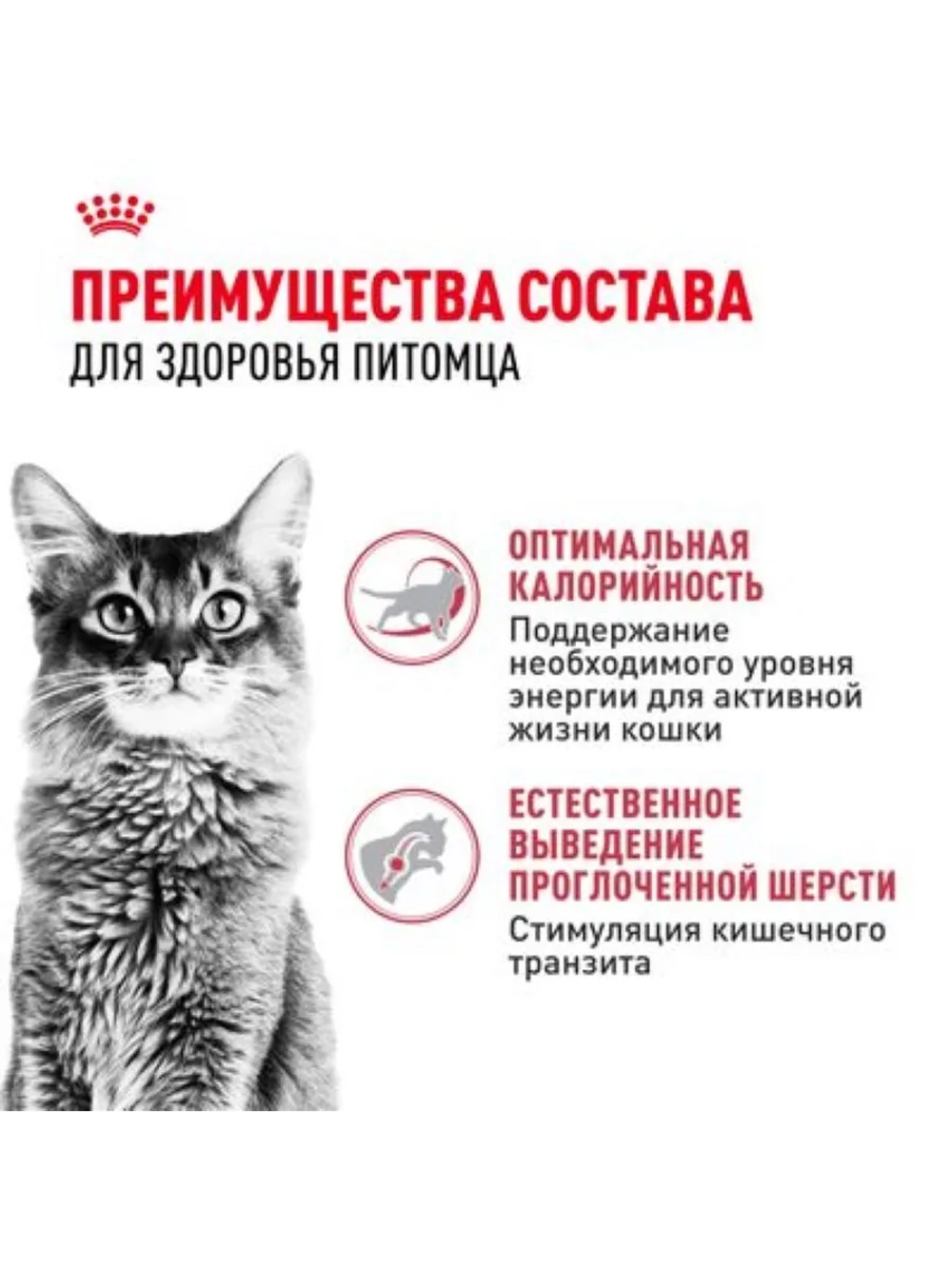 Fit 32 Корм для кошек c умеренной активностью 2кг