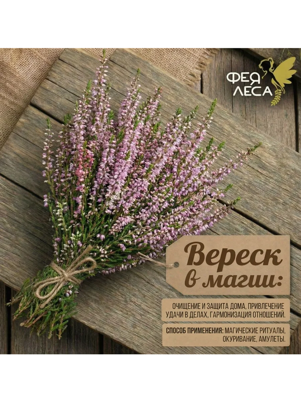 Вереск цвет для поделок,гербария и творчества