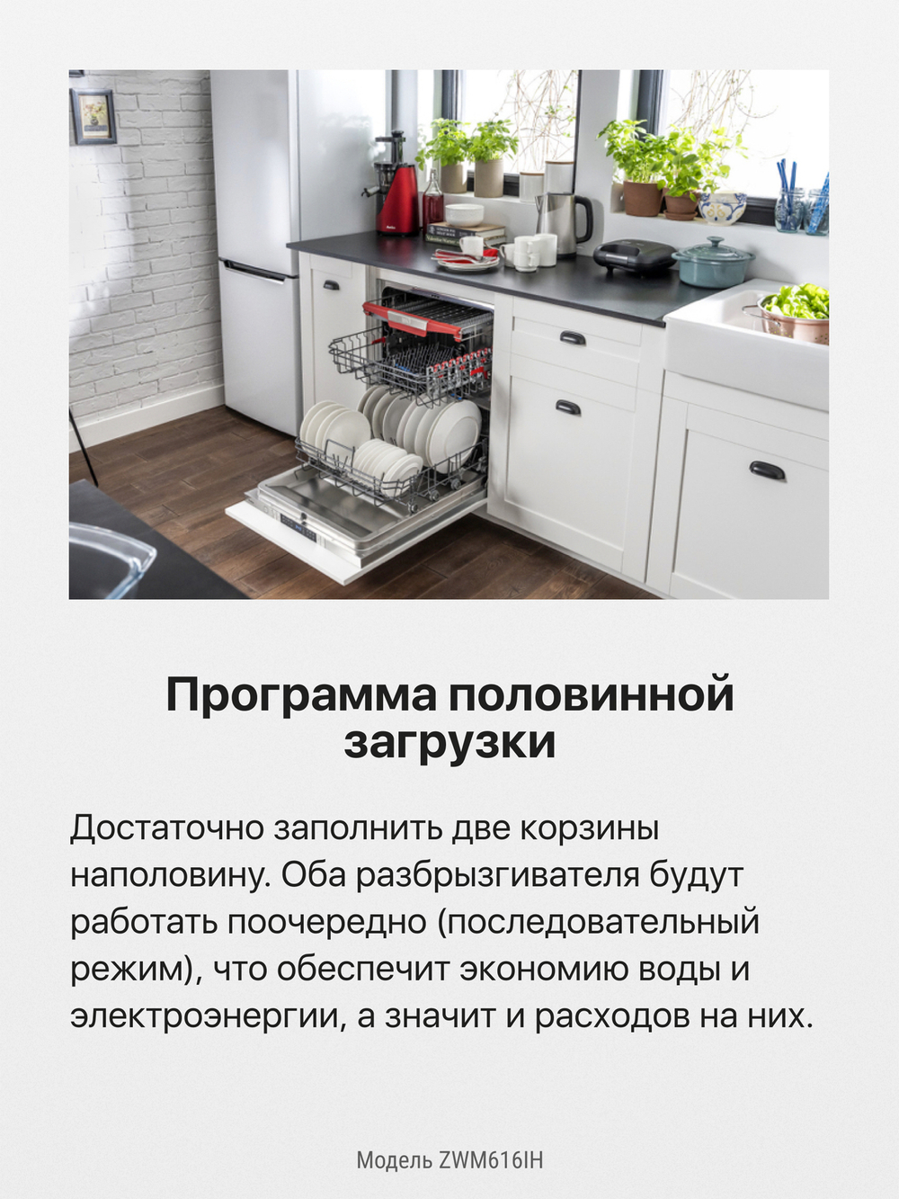 Посудомоечная машина Hansa ZWM616IH