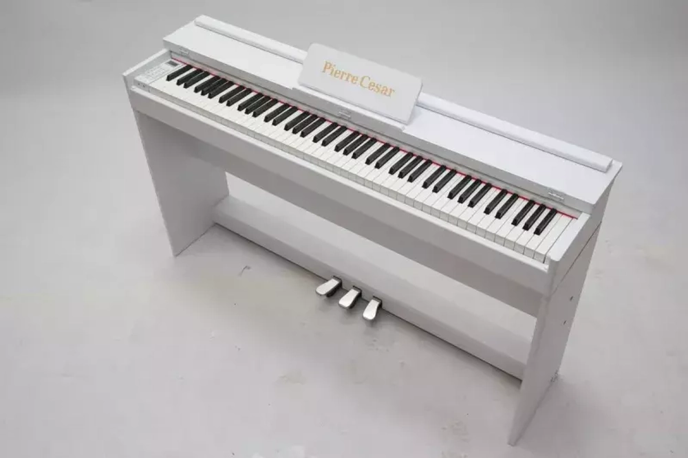 Pierre Cesar DP-12-H