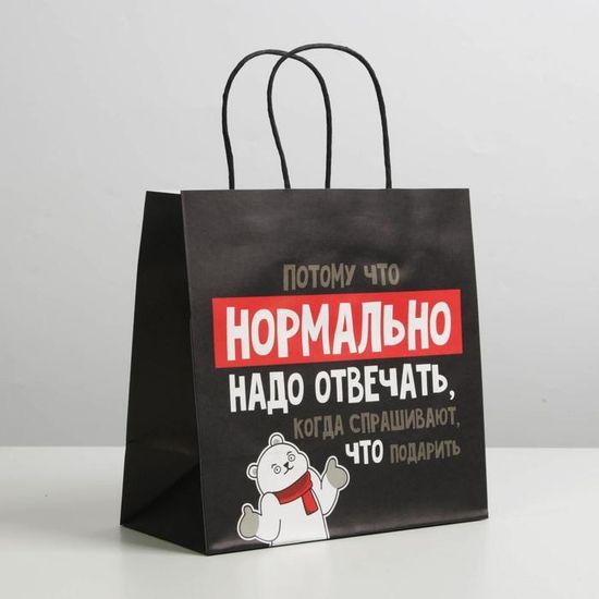 Пакет подарочный «Нормально надо отвечать», 22 × 22 × 11 см 6249080