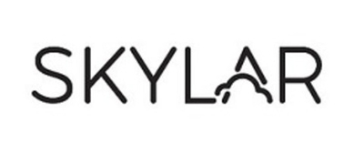 skylar willow woods туалетная вода тестер 50 мл. уни (тертый/сколы/без крышки/голый)