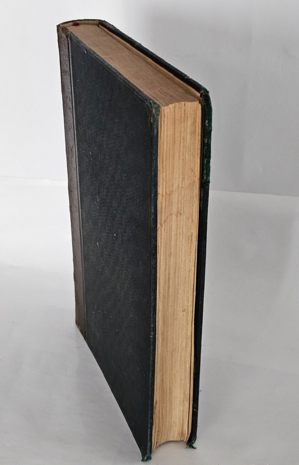 "Фритьоф Нансен". Броггер В. Г. и Рольфсен Н.. 1896г.