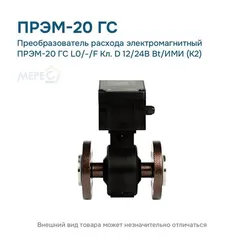 Преобразователь расхода электромагнитный ПРЭМ-20 ГС L0/-/F Кл. D 12/24В Bt/ИМИ (К2)