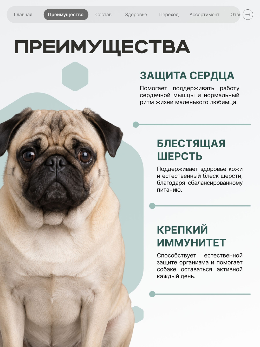 Корм для собак мелких пород SF Cardio Guard, (дилатационная кардиомиопатия), 3 кг, QUATTRO