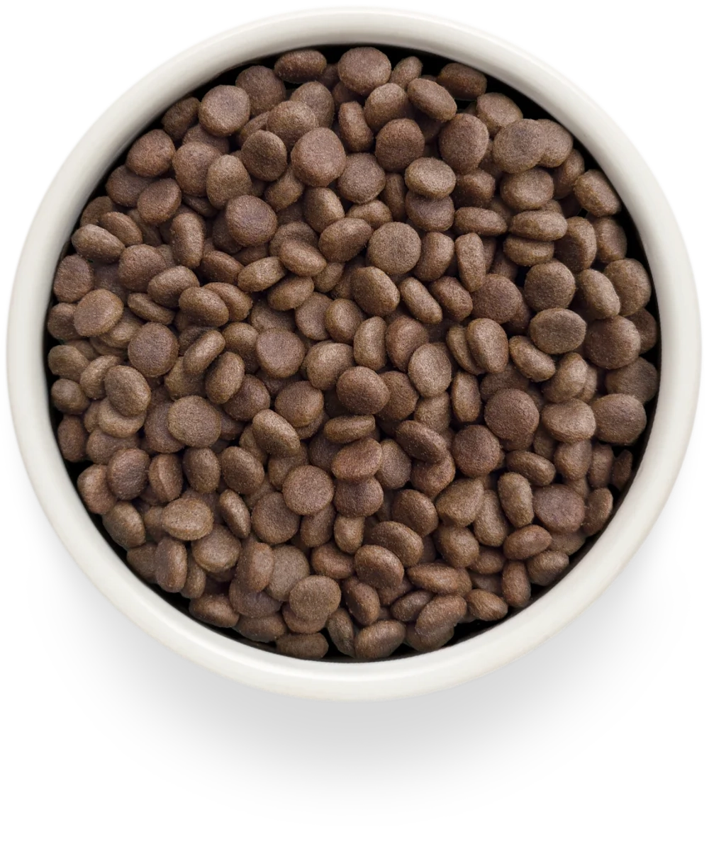 Сухой корм GRANDORF VETERINARY DIET Dog HEPATIC Полнорационный диетический корм для собак, для поддержания функций печени при ХПН 1кг