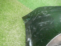 DSCN1384.jpg