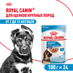 Royal Canin Maxi Puppy Макси Паппи Влажный корм для щенков крупных пород в возрасте до 15 месяцев 100г