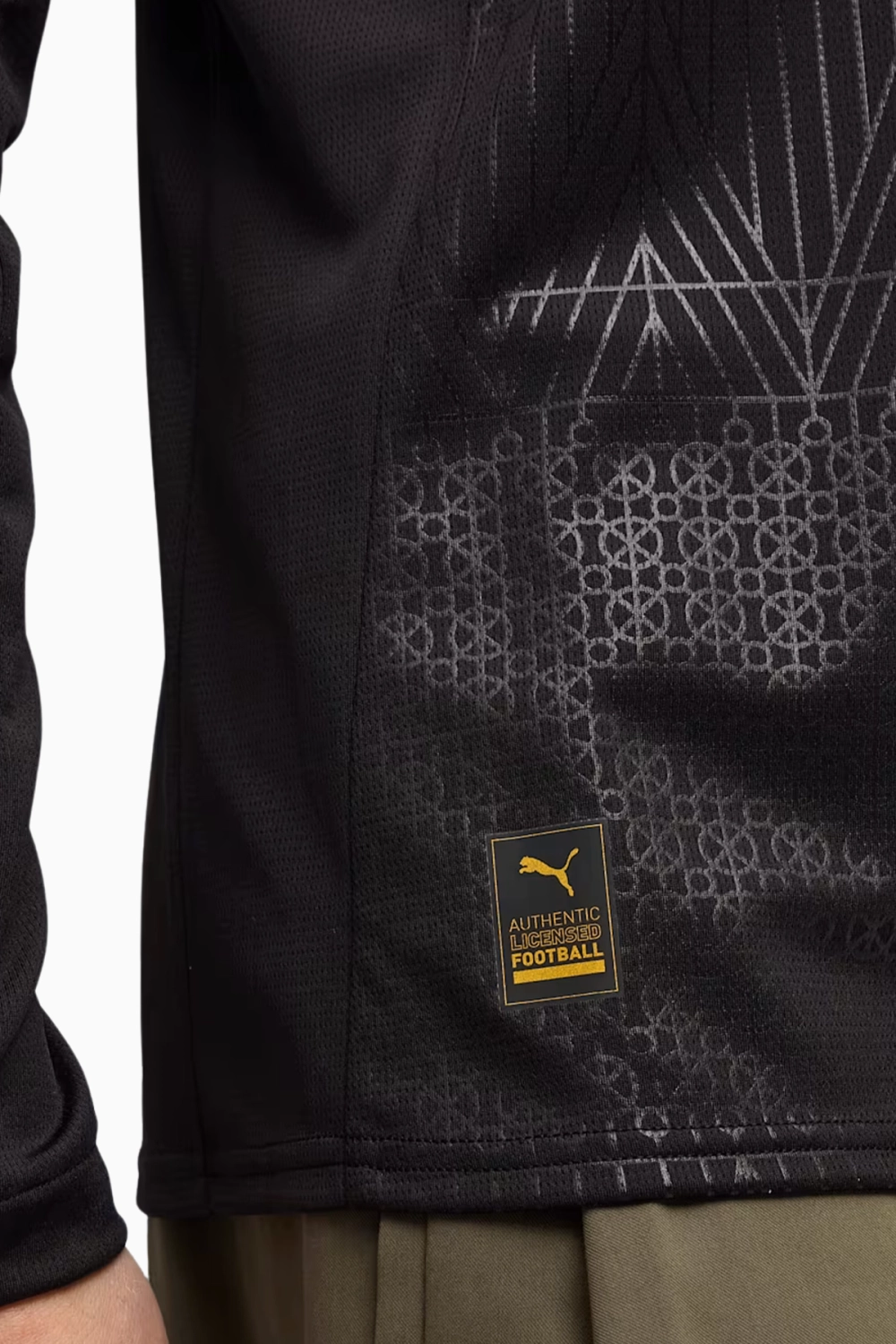 Футболка с длинными рукавами Puma Borussia Dortmund 25/26 Special Edition - черный