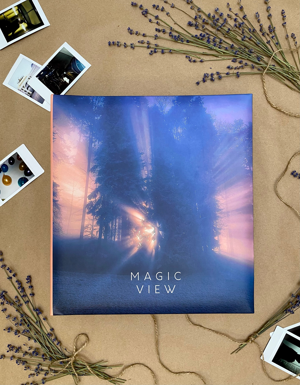 Фотоальбом на 50 магнитных листов 23х28 см, кольца magic view Вспышка