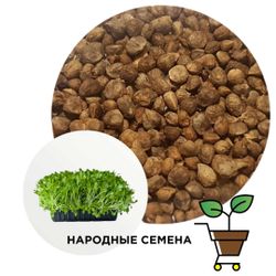 Шпинат Матадор (семена)