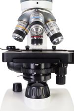 Микроскоп Levenhuk Discovery Atto Polar с книгой