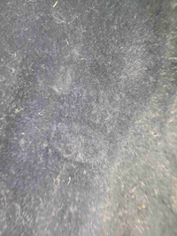 IMG_20260518_142243.JPG