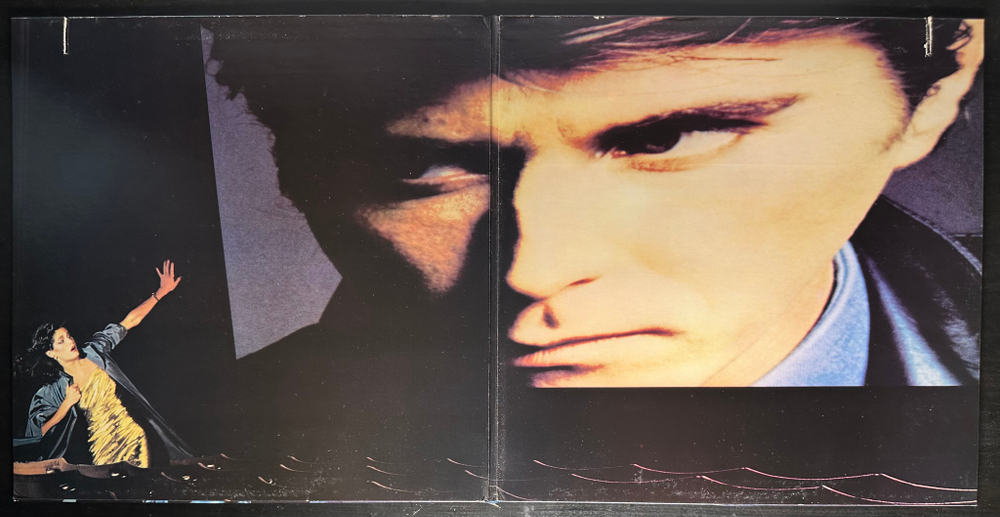 Bryan Ferry ‎– The Bride Stripped Bare (США 1978г.)
