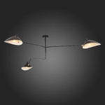 Потолочная люстра ST Luce SPRUZZO SL305.402.03