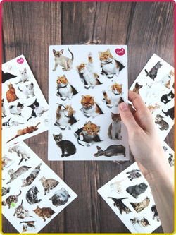 Наклейки стикеры кошки, котики, наклейки коты, детские