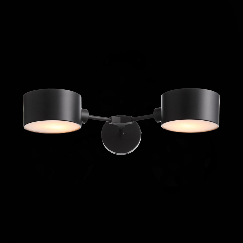 Светильник настенный ST Luce Gimento SLE183401-02