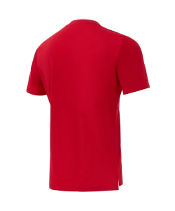 Футболка игровая Jogel DIVISION PerFormDRY Union Jersey, красный R2
