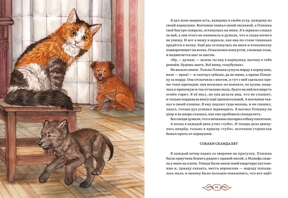 Жизнь зверей