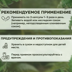 Alviko-lab Витамин B-12 (Б-12) Vitamin B12 5000 мкг, 60 таблеток для рассасывания