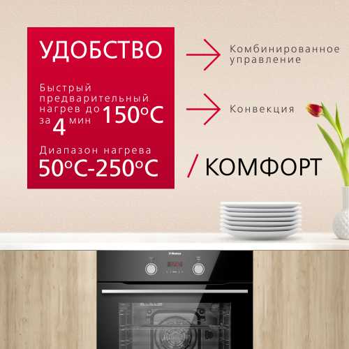 Духовой шкаф Hansa BOES68465