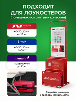 Набор Xs/M ручная кладь и средний Красный