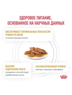 Urinary S/O пауч 85г*28шт Корм для кошек при МКБ