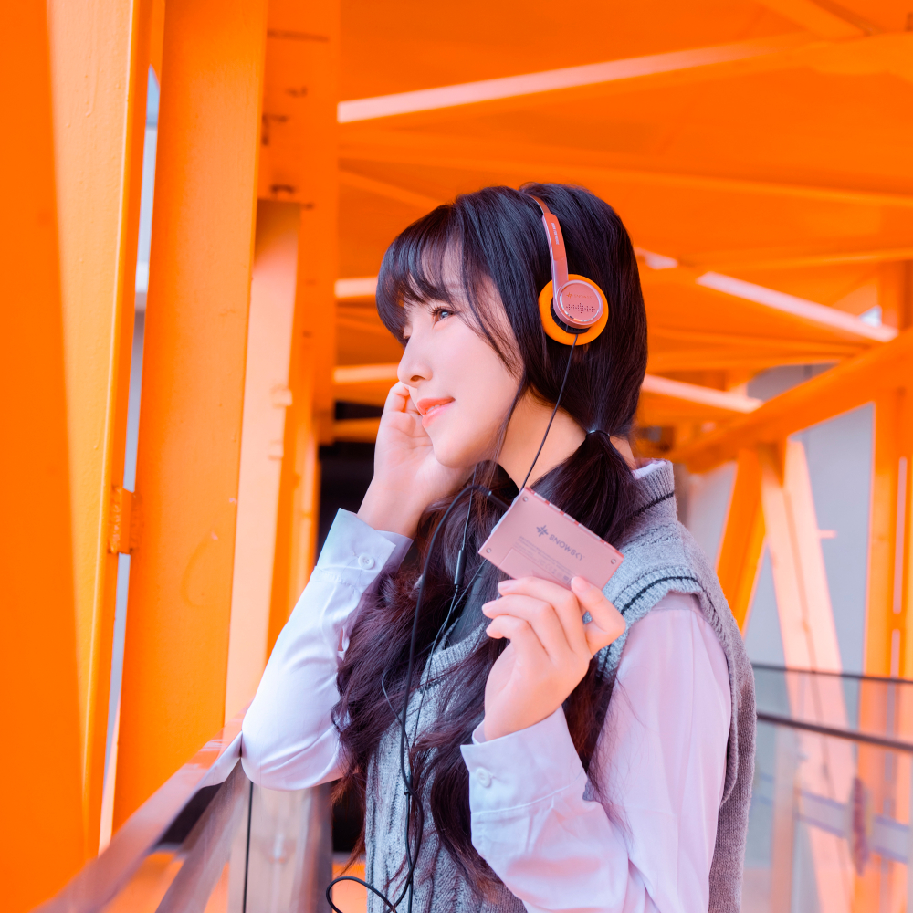 FiiO SNOWSKY WIND (F4411W) Silver — накладные наушники