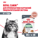 Royal Canin Digestive Care Дайджестив кэа Корм влажный профилактика нарушений пищеварительной системы для взрослых кошек соус 85г